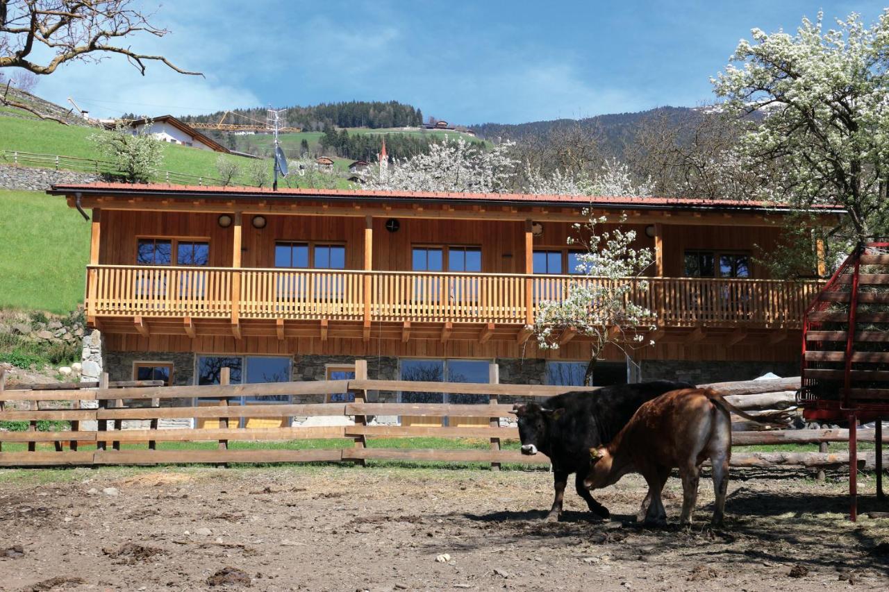 Neue Ferienwohnungen Auf Dem Gebreitnerhof, Urlaub Auf Dem Bauernhof Bressanone Exterior photo