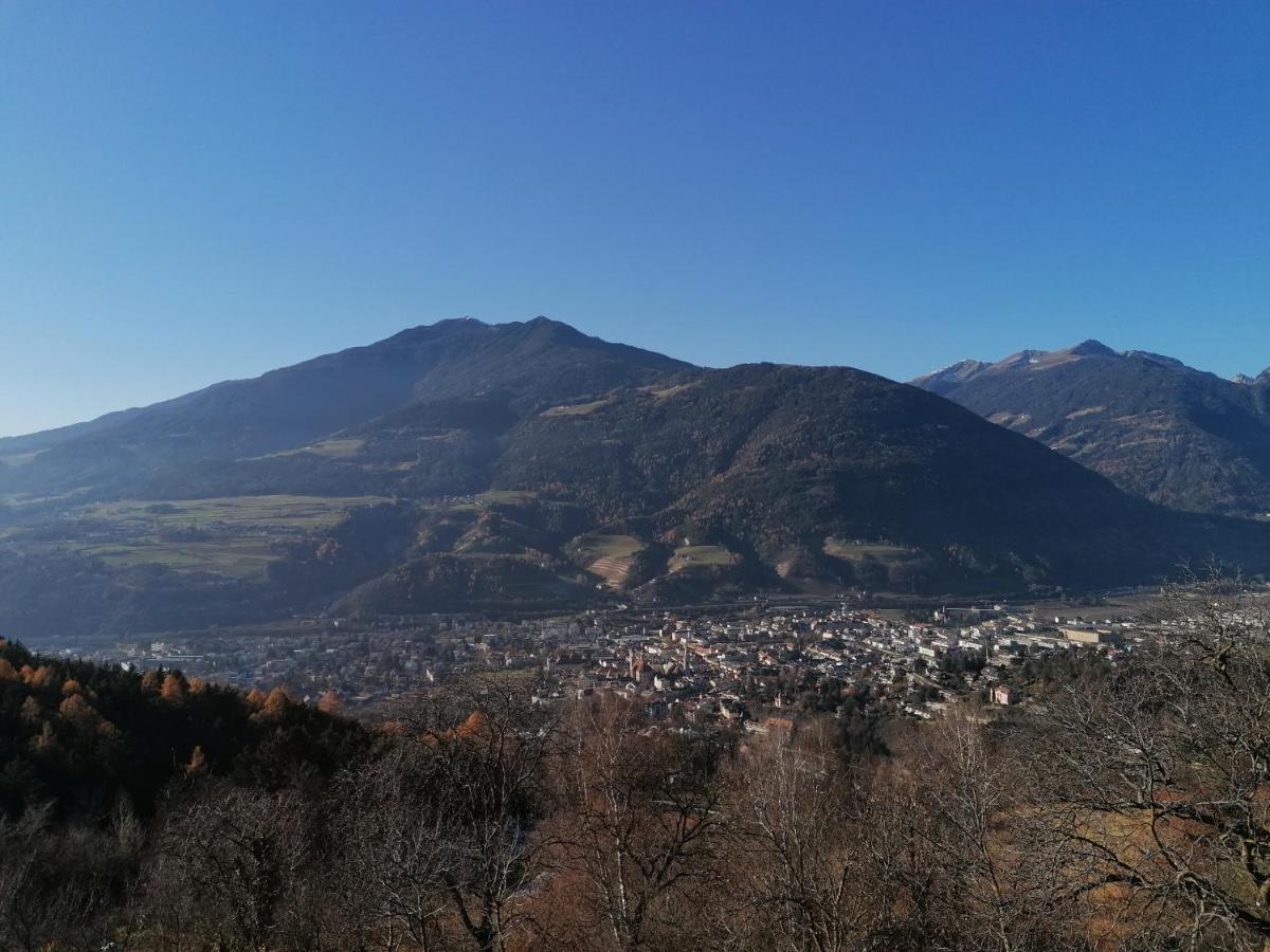 Neue Ferienwohnungen Auf Dem Gebreitnerhof, Urlaub Auf Dem Bauernhof Bressanone Exterior photo